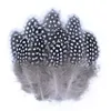 Other Event Party Supplies Wholesale Natural Pheasant Feathers Peacock Feather Eagle Small Plume Handicraft Accessories Jewelry Creation Holiday 231118