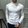 メンズセーターファッションカジュアルなストライプブティックウールメンスリムソフトウォームプルオーバースプリング男性到着oネックソリッドカラーニットウェア
