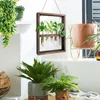 Vases Propagation Stations Wall Mounted Glass Vase Plant Home Hanger Wooden Stand With 5 Test Tube