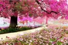 Wallpapers Floral Wallpaper For Walls Full Of Flowers Beautiful Trees 3D HD Landscape Superior Interior D