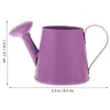 Watering Equipments 6 Pcs Mini Can Kids Outdoor Toys Flower Sprinkling Kettle Sprinklers Born Iron Child