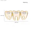 Pins Brooches DCARZZ Cute Tooth Pin Brooch Gold Silver Plated Medical Delicate Teeth Badge Lel Pins Metal Woman Gift Doctor Nurse JewelryL231120