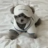 Dog Apparel Pet Absorbent Plush Bath Towel Bathrobes Bichon Teddy Dressing Gown Pajamas Puppy Clothes Ins El Style Clothing Set