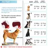 Collari per cani Guinzagli Imbracatura per cani di grossa taglia Imbracatura per animali domestici riflettente per cani di taglia piccola e media Guinzaglio da passeggio regolabile Cinturino pettorale per animali Accessori per cani 230419