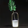 Vases Vase de plantes hydroponiques Simple et élégant Art Artisanat Idée créative Verre transparent