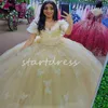 Butterfly Champagne Quinceanera Dresses 2024 Elegant Bal Gown Prom Dress Vestidos De 15 Anos Sweet 16 Party Birthday Dress Debutante 15 Anos Pageant Formal Dress