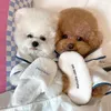 Chien Vêtements Pet Absorbant En Peluche Serviette De Bain Peignoirs Bichon Teddy Robe De Chambre Pyjamas Chiot Vêtements Ins El Style Ensemble De Vêtements