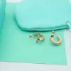 Marke Klassische Designer Ohrringe für Frauen Modische Neue Titan Stahl 18k Gold Diamant Hochwertige Luxus Schmuck QJJZ