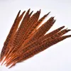 Autres fournitures de fête d'événement 20pcslot Lake Blue Pheasant Tail Plumes pour l'artisanat 1012inch DIY Teint Plumes naturelles Accueil Bijoux Décorations de mariage 231118