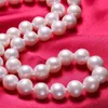 قلادة قلادة Dainashi 100 ٪ Natural Freshwate Pearl Necklace AA Grade 8-9mm أبيض بالقرب من قلادة المجوهرات المستديرة مع Budffly Buckle231118