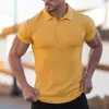 Homens camisetas Plus Size S-4XL Camisa Polo para Homens Collar Manga Curta Bordado Negócio Casual Alta Qualidade Verão Secagem Rápida