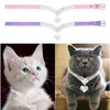 Hondenkragen hart strass pendanten kat kraag ketting verstelbare kitten sieraden huisdier puppy accessoires chihuahua