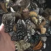 Decorative Objects Figurines 100Pcs Set Real Natural Specimens Butterfly Wings DIY Jewelry Artwork Art Hand Craft Happy ING 230419