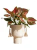 Vasen Binaurale Quaste Zement Blumentopf Vase Kreatives Design Hoher grüner Rettich Sukkulente Ins