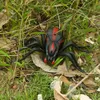 Électrique / RC Animaux Infrarouge RC Spider Toy Télécommande Réaliste Mock Fake Prank Tricky Jock Halloween Cadeau de Pâques 230420