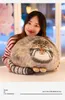 Nya hårda och söta Bunny Plush Doll Imitation Cat Throw Pillow Soft Fill Comfort Doll presenter i lager