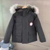 hoodies çocuk palto bebek kıyafetleri çocuk ceket üstü toddler tasarımcı rozet ile kapüşmeli fasion kalın sıcak dış giysiler erkek çocuk dış giyim klasik parkas% 100 kurt kürk yaka