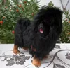 Dekorativa figurer Creative Real Life Black Dog Model Plasticfurs Tibetan Mastiff Gift 28x25cm XF2816