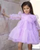 Girl Dresses Lavender Tulle Baby Dress With Puffy Long Sleeve Kid First Communion Knee Length Flower Gift