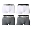 Designer Mens swimwear Underpants 4Pcs Men Boxers Man Short Breathable Flexible Comfortable Shorts Lovely Solid Panties oversize