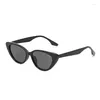 Sunglasses Vintage Small Frame Cat's Eye Women's Brand Designer Tan Colour Sun Glasses Men's Fashion Eyewear UV400