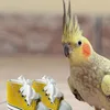 Bird Chewing Toys Mini Sneaker Canvas Shoes Shredding Foraging Treat for Parakeets Cockatiels Conures KDJK2304