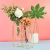 Vases Vase de plantes hydroponiques Simple et élégant Art Artisanat Idée créative Verre transparent