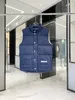 Mens Designer Canadense Jaqueta Colete Para Baixo Casacos Quentes Mulheres Casual Carta Bordado Ao Ar Livre Moda de Inverno para Casais Masculinos Gansos Parkas