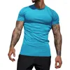 Erkekler Tişörtler Erkekler İnce Fit Fitness T-Shirt Düz Renk Giyim Vücut İnşa Sıkı Üstler Hızlı Kuru Spor Giyim Eğitimi Tee For