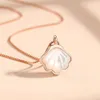 A Shell Designed by Female Minority: Simple White Scallop Clavicle Chain, Fashionable and Sweet Lifetime Necklace