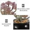 Decoratieve Bloemen 4 Stuks Gesimuleerde Bonsai Kleine Planten Mini Vetplanten Kunstmatige Faux Pvc Potten Nep Ingemaakte