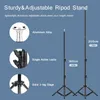 Light Stands Booms Proginive Progane Softbox Lighting Box Soft مع Tripod E27 Pogeth Proginive System System for PO Studio 231121