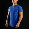 Herren T-Shirts Solide Fitness Workout T-Shirt Tops Männer Baumwolle Atmungsaktiv Sport Kurzarm T-Shirt Sommermode Marke O-Ausschnitt Slim Fit