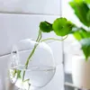 Vases 8x Clear Glass Ball Shape Vase Garden Decor Wall Hanging Bottle