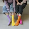 Frauen Socken kämmte Baumwoll-Splitzeh