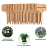 Partihandel trädgårdsdekorationer bambu växtetiketter för utomhus taggar vattentät 2,36x4 tum t-typ trä markörer blomma vegetabiliska plantskolor