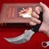 A1901 Karambit Knife 420C Laser Pattern Blade Full Tang Paracord Handle Fixed Blade Tactical Claw Knives with Leather Sheath