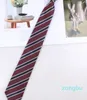 Bow Ties Polyester Bastic randig för män Kvinnor Bruna slipsar Handgjorda Casual Neck Tie College Formell Uniform Shirt Cravat