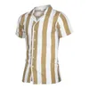 Casual shirts voor heren Holiday Hawaiian Beach Striped Print Tops Business bijgesneden oversized T 5XL Designer Clothing 230420