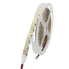 DC12V LED Strip No-Waterbroof 5M/Lot FIEXIBLE LED Strip SMD 2835 240LED/M دافئ أبيض/أبيض/1200.