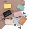 حاملي البطاقات Sheepeske Sheek Wirlder Women Bifold Leather Bank Wallets Coin Pres