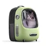 Sac à dos de transport Portable pour chats, espace de voyage pour petits chiens et animaux de compagnie ventilés avec ventilateur intégré