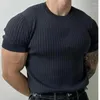 T-shirt à manches courtes et col rond pour homme, vêtement d'été fin, en tricot, coupe cintrée, élastique, Design polyvalent, à rayures verticales, demi-T-shirt, 2023