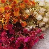 Fleurs décoratives Fall Breath Flower Ornement Décorer 60 Têtes Faux Gypsophila Wedding Decor