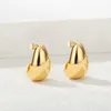 Boucles d'oreilles en acier inoxydable crochet pour femmes broche minimaliste Chic Style Baroque élégant femme bijoux délicat boucle d'oreille cadeau 2023
