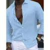 Chemises décontractées pour hommes Chemise pour hommes Chemise à manches longues Blouse ample Col de bande Boutonné Tops pour vacances Vert Blanc Rose Bleu clair