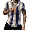 Men's Casual Shirts Hawaiian Shirt Summer Fashion Striped Sexy Printed for Male Tee T-Shirt Men Clothing Oversized Camisa Tops 230421