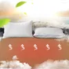 Battaniyeler Isıtmalı Termal Yatak Yeniden Kullanılabilir Elektrikli Battaniye Büyük Boyut Kış Kış Çift Isıtma Pad Sy50eb