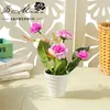 Flores decorativas desktop decorações artificiais plantas simuladas seda mini rosa bonsai com vasos de plástico ornamentos em vasos de flores