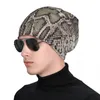 Bérets SnakeSkin Print Knit Hat Hip Hop Golf Cap Caps pour femmes hommes